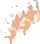 blizneci